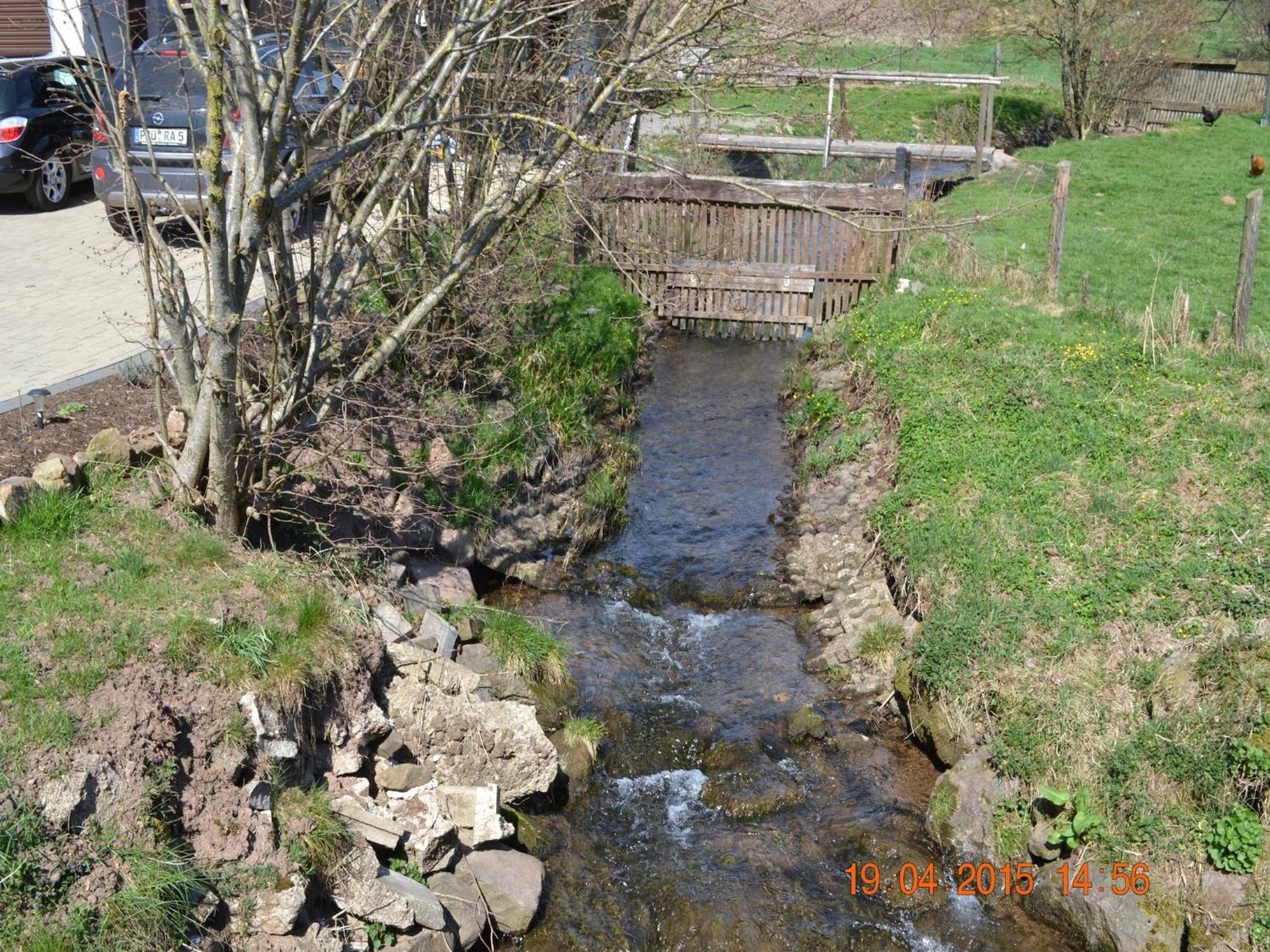 Quiet Apartment Along A Stream In Halenfeld Sellerich Eksteriør bilde